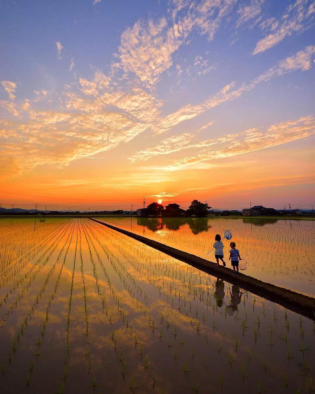集合設計,幼兒園設計,幼兒園裝修,幼兒園裝修設計,幼兒園室內(nèi)設計